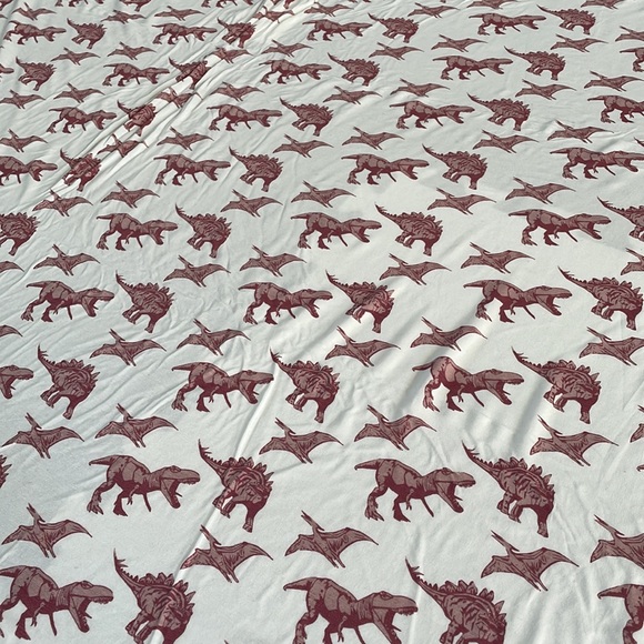 Kate Quinn Dinosaur Swaddle - Picture 5 of 6